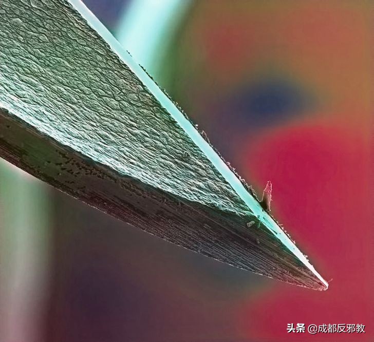 可能你没见过的新奇事情