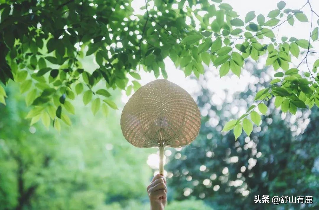 通透者宁缺勿滥，以简驭繁，择心之挚爱而守。