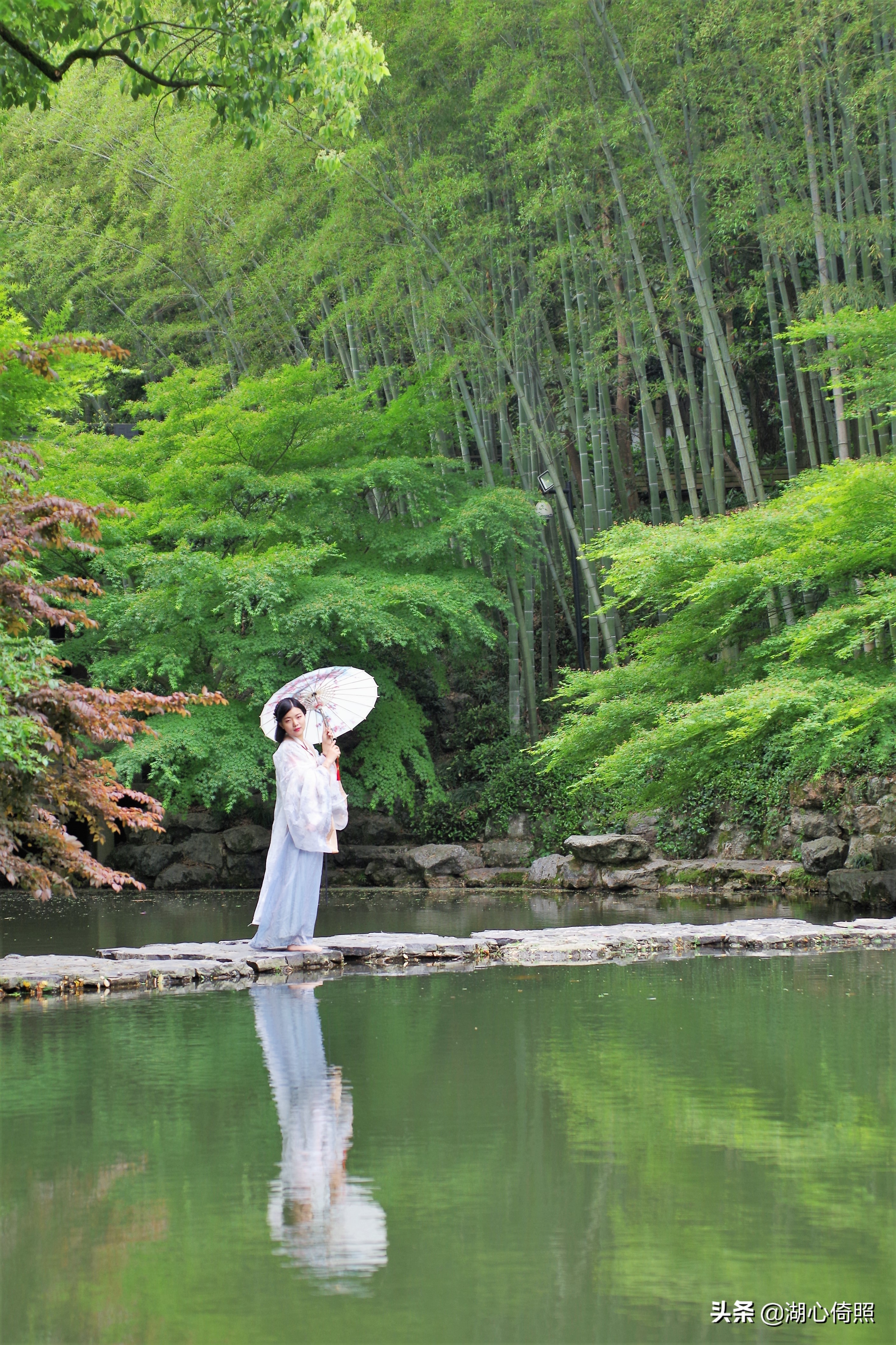 如何拍翠鸟跳水（「小湖聊摄影」从“玻璃鱼缸诱拍翠鸟入水画面”说起）