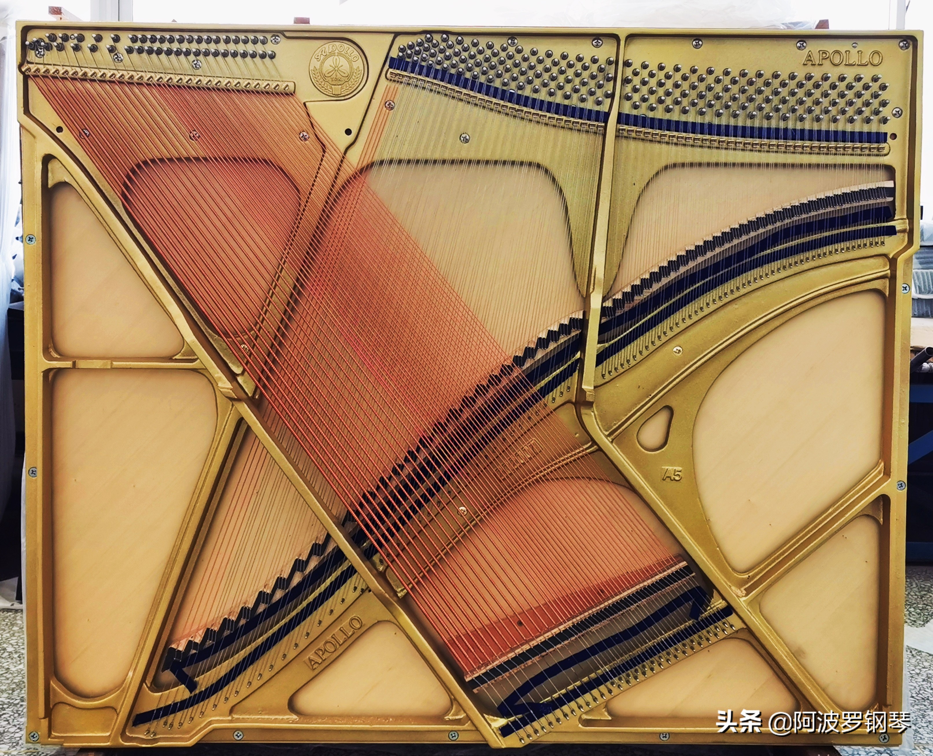 选择APOLLO钢琴的十大理由~总有一个让你心动