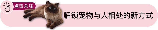 猫咪抓伤后指甲剪流血如何处理