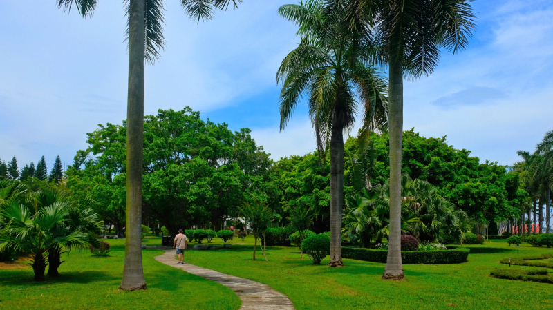 篮球世界杯东莞赛场内景(广东旅行，认识了一个“正经”的东莞，和历史课本之外的虎门)