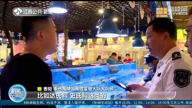 鱘魚價格,鱘魚價格2021年市場價