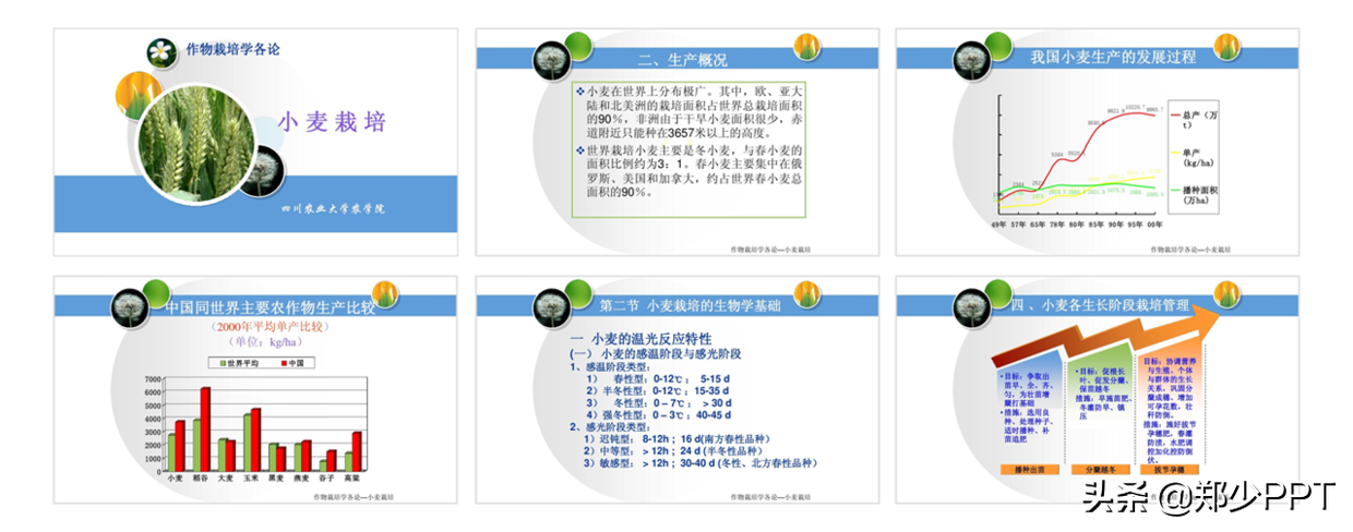 用了2个小时，设计了一份农作物栽培PPT，同事说效果很赞