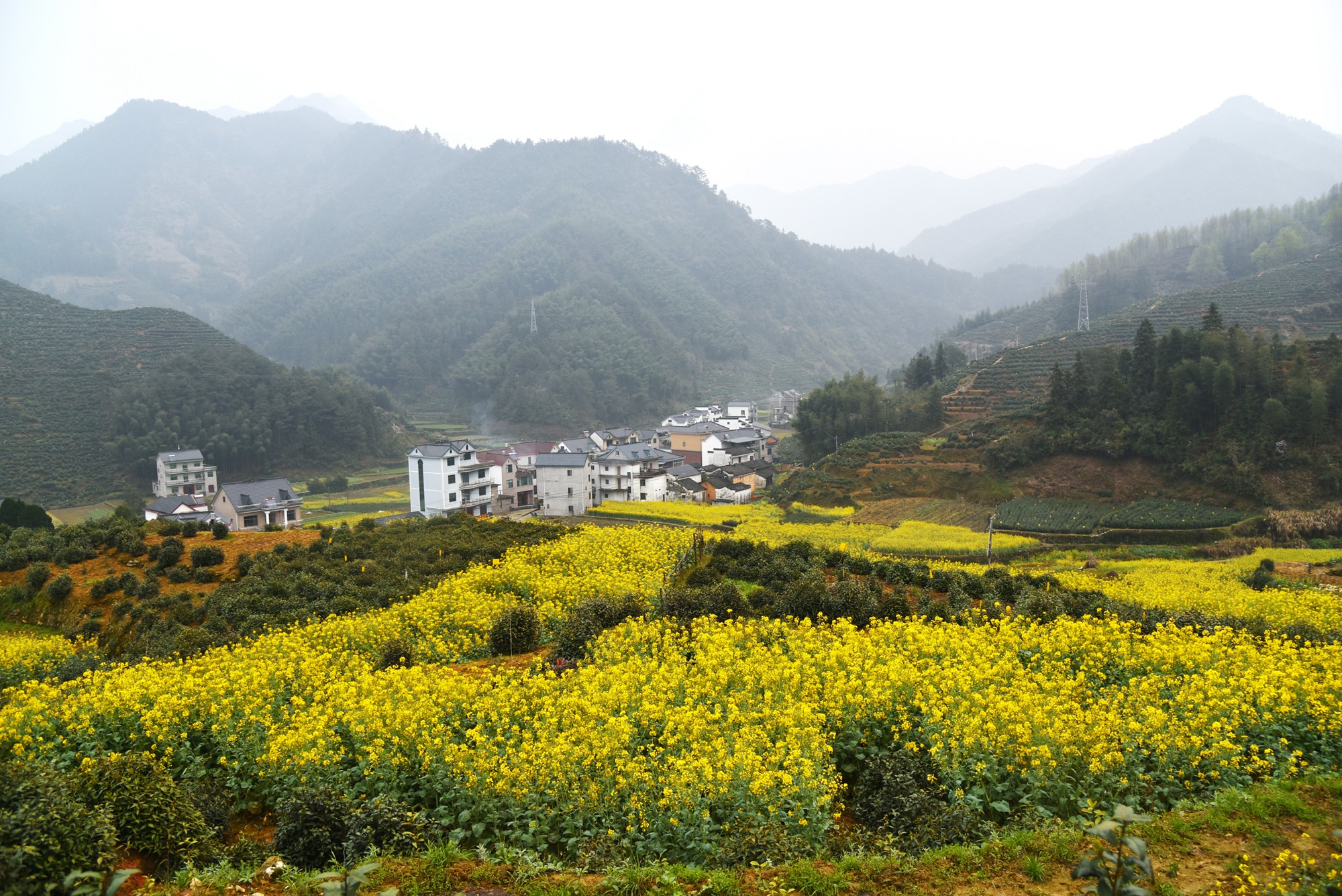 自驾徽州天路，走进真山真水，寻找生活本来的样子