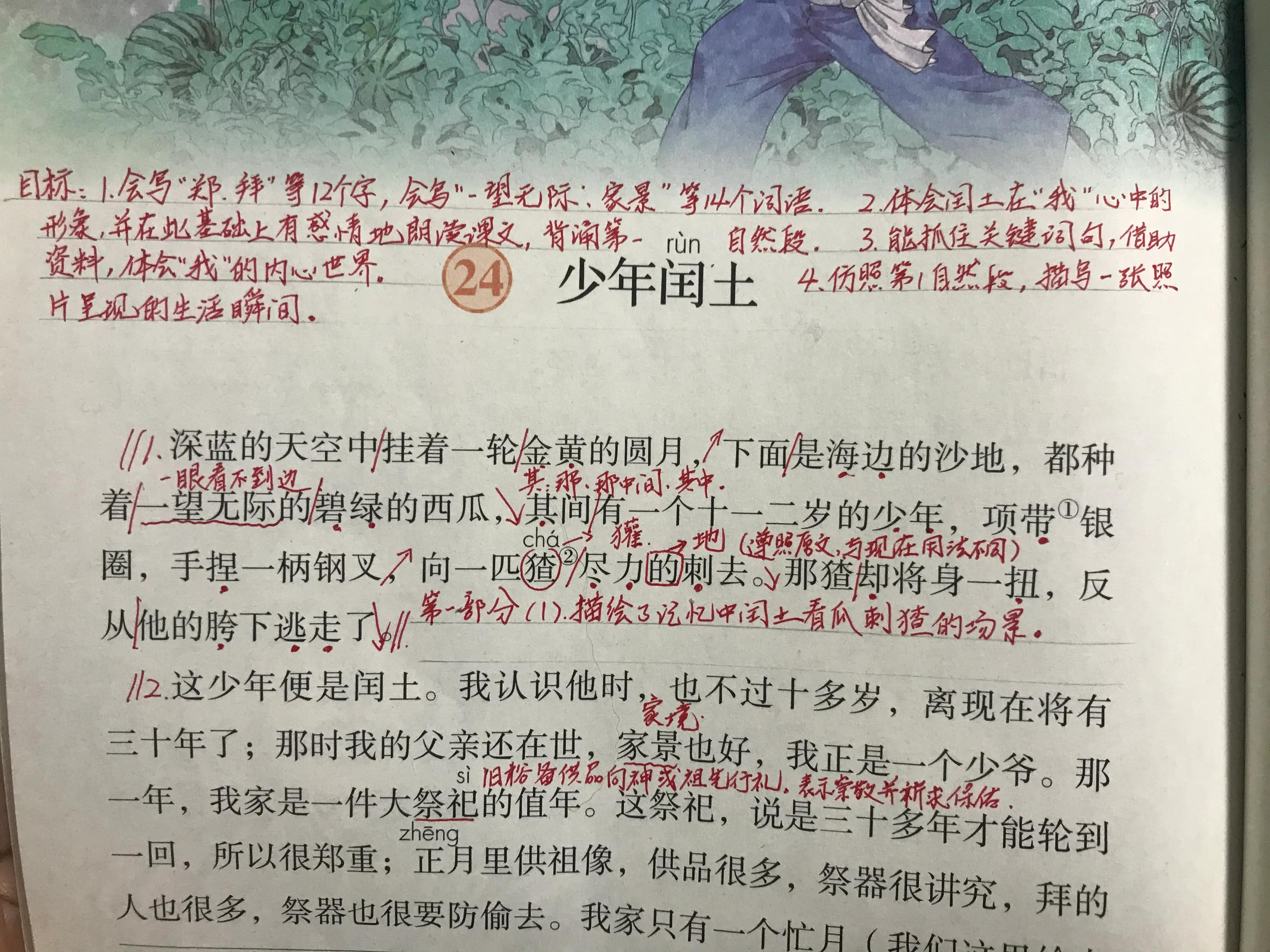 六年语文《少年闰土》，看资深教师讲解全文和课后题，知识点不少