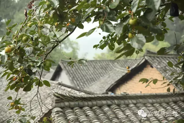 安徽六安最美10大古村古镇，皖西之地人文古韵悠远流长