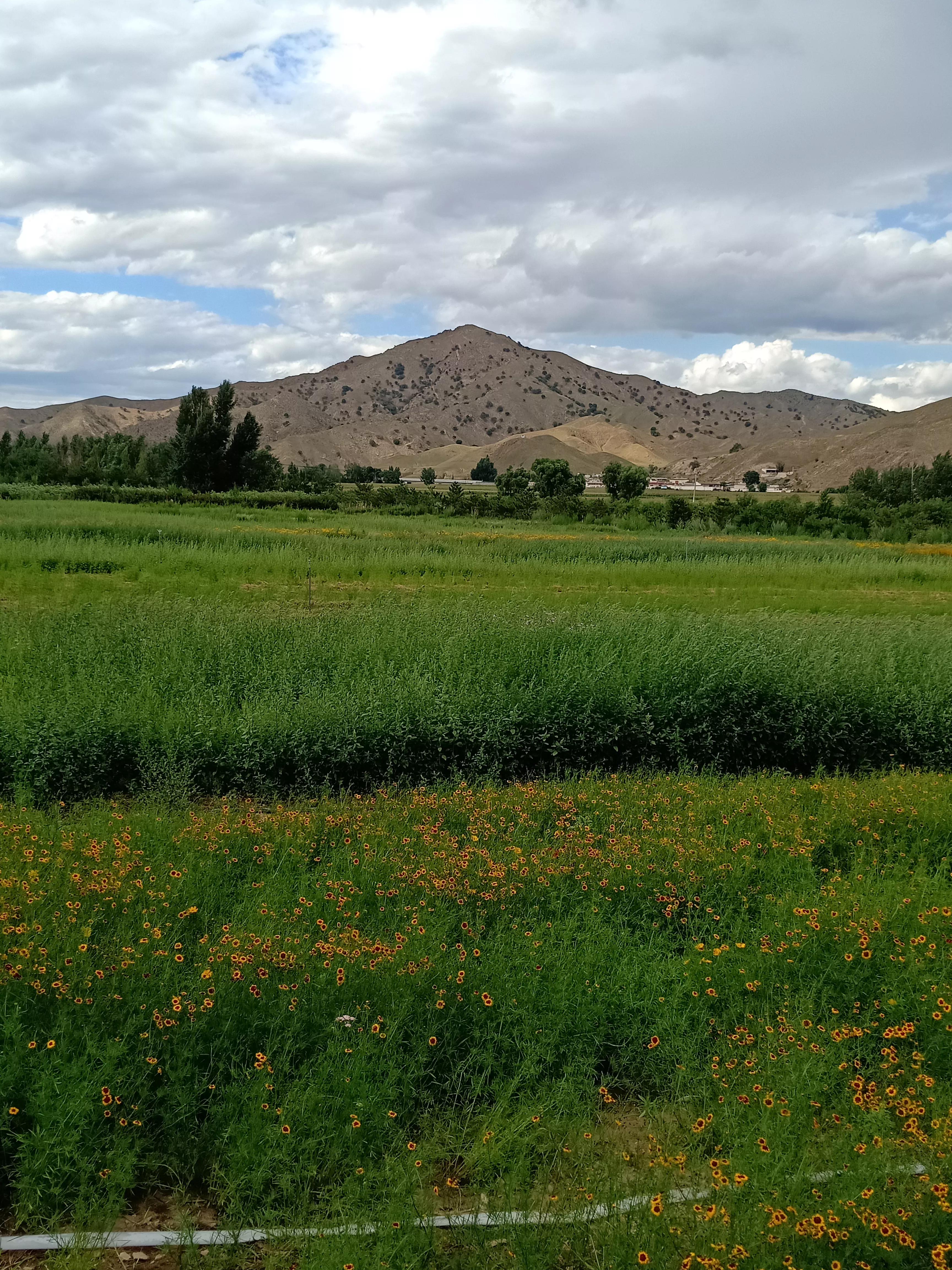 在自己家里旅游