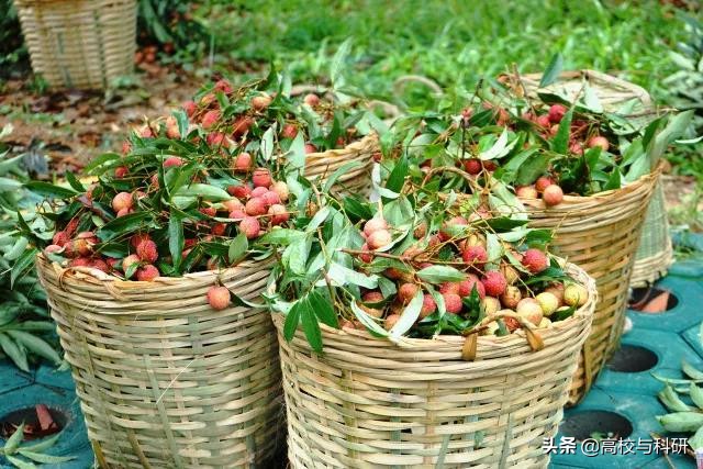 深圳大学，没想到你是这样的存在