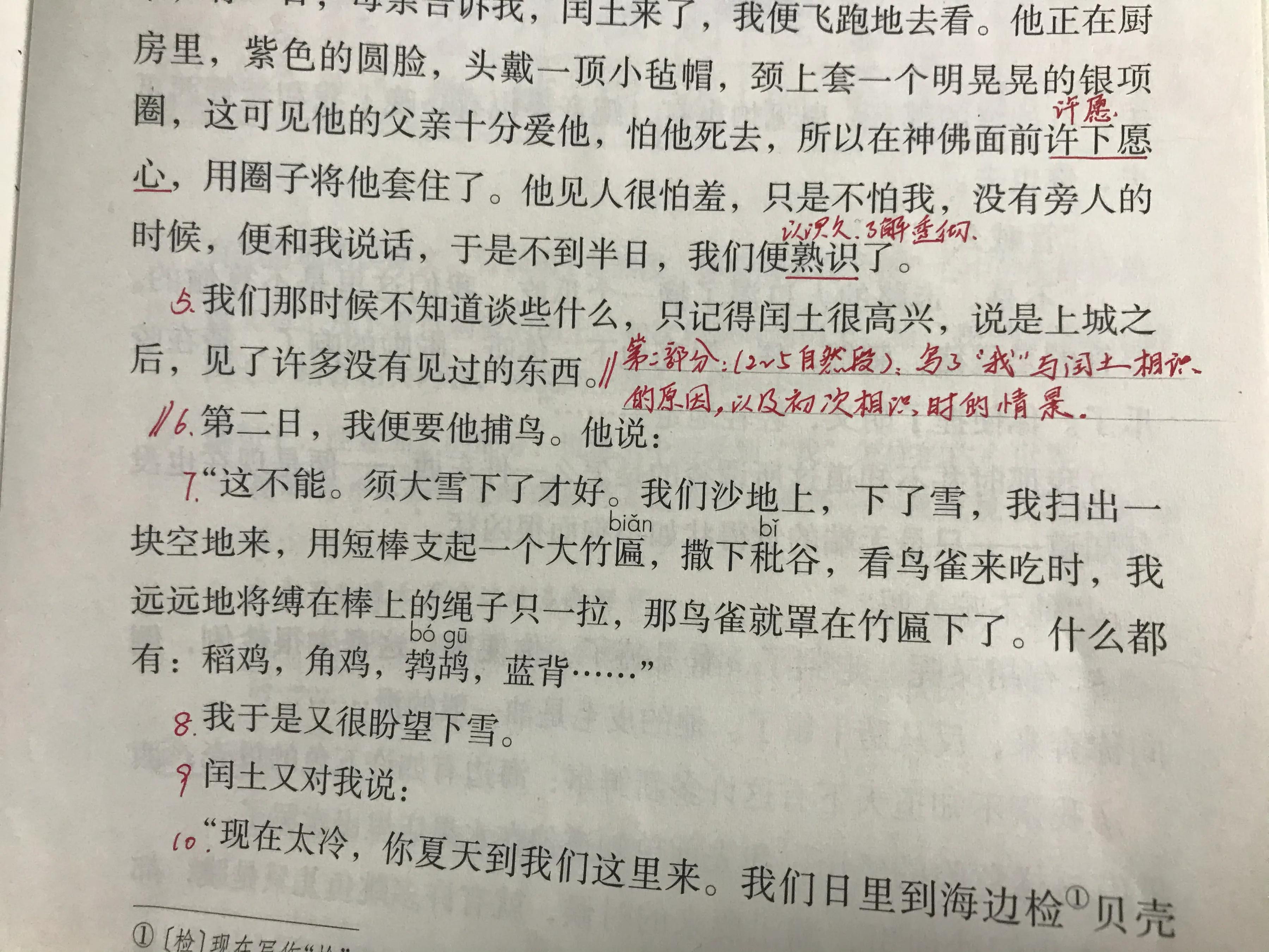 六年语文《少年闰土》，看资深教师讲解全文和课后题，知识点不少