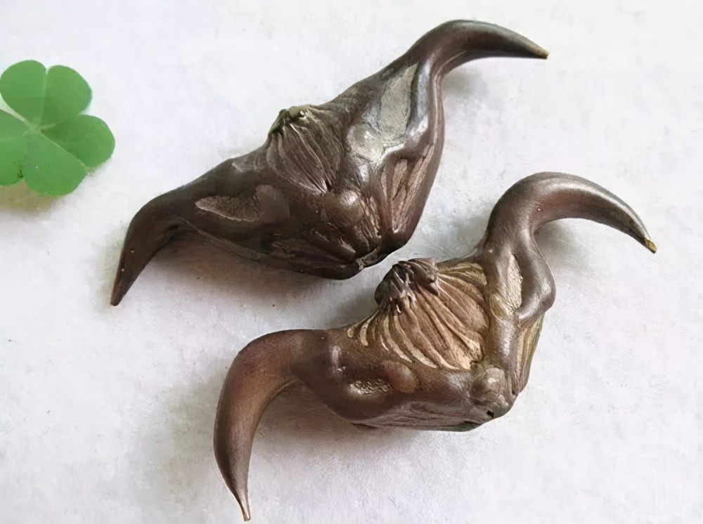 撒谎和吹牛，也要有逻辑——小古文《北人食菱》导读