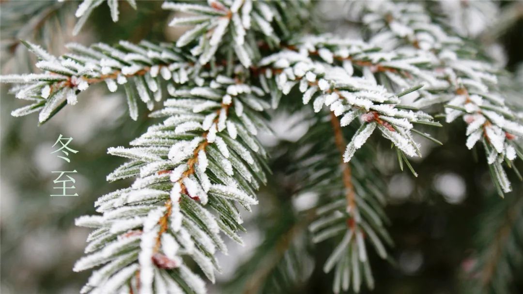 诗词鉴赏-冬至已至 春归有期，十首经典的冬至诗词，温暖如诗