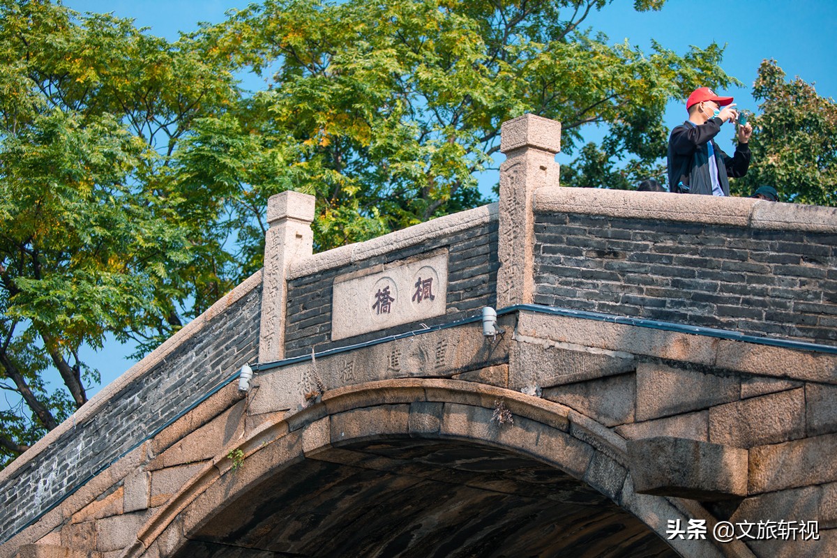 此刻，苏州城内，满城尽带桂花香