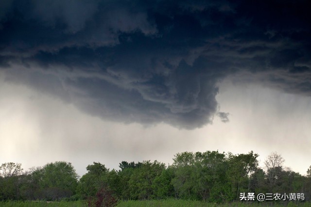 今天七月初七，七夕出现下雨天气有啥预兆？3句老祖宗俗语告诉你