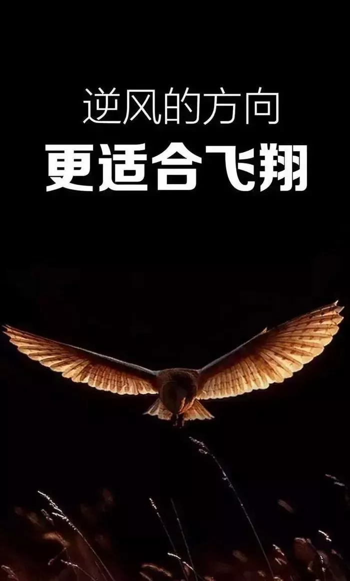 「2021.11.03」早安心语，正能量阳光经典语录，暖心的励志图片