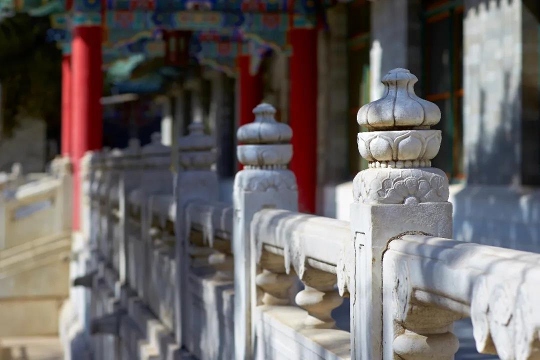 北京协和医学院八年制临床医学专业2017-2019年招生计划与分数线