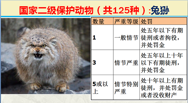 国家保护动物分几个等级（125类二级野生保护名录）