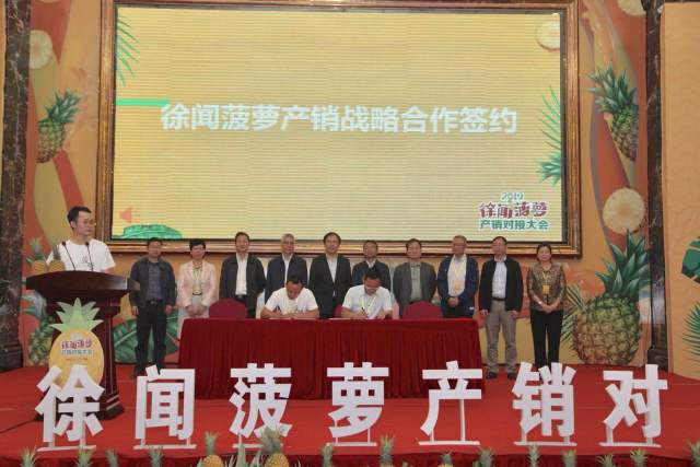 徐闻菠萝产销对接会火热进行！现场签约采购1.84亿斤