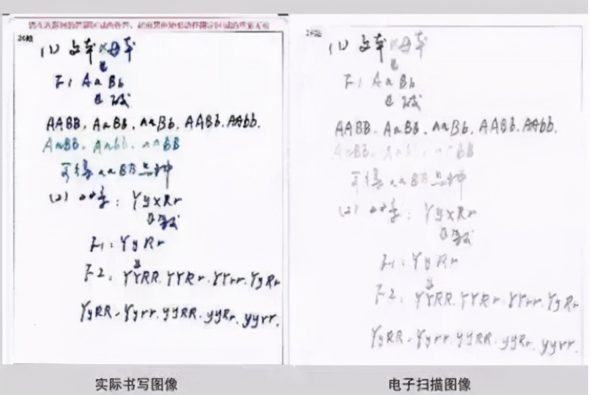 中高考電子閱卷