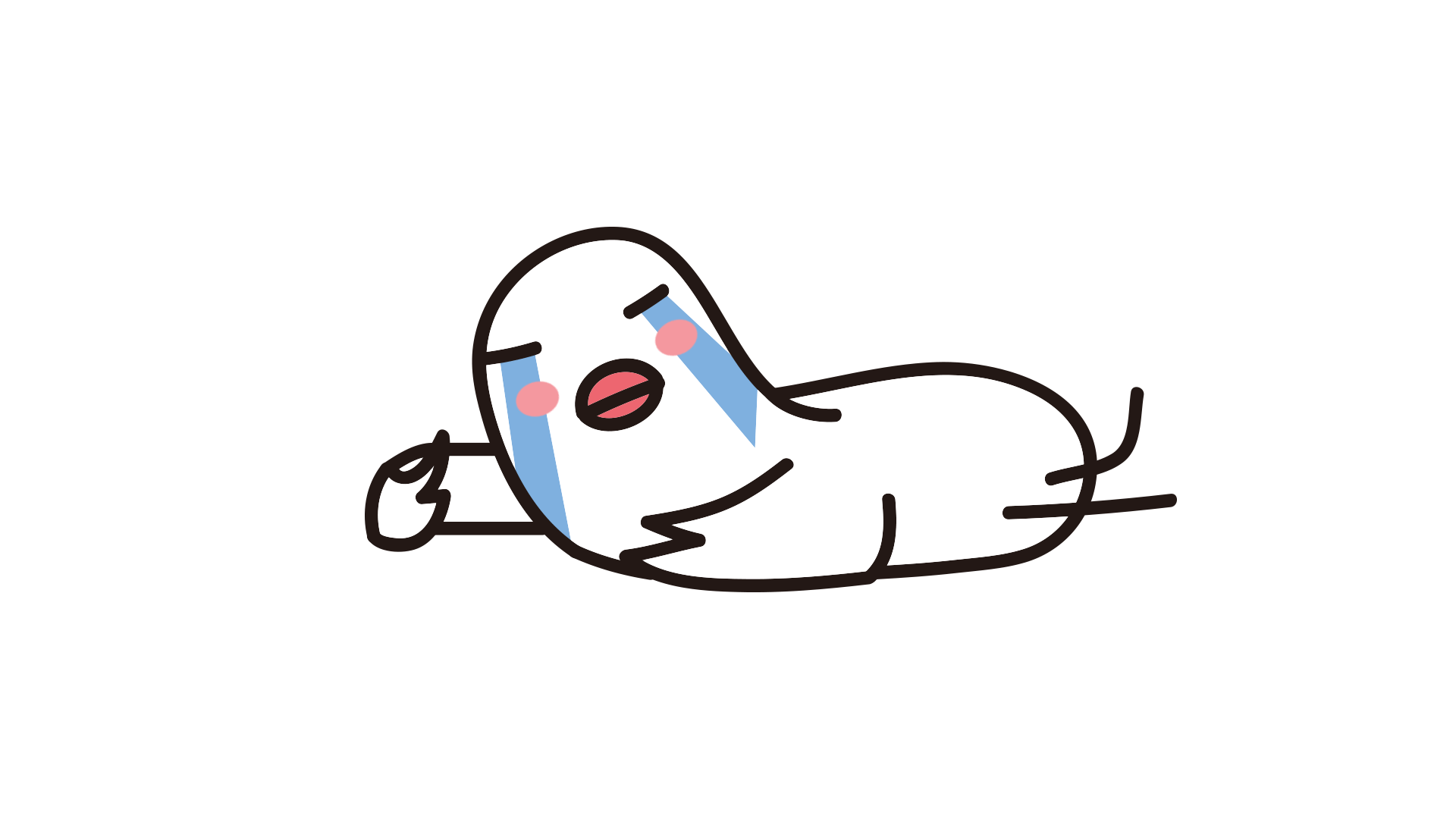 财务会计专业必看！就业市场对于证书的实用性排行榜单