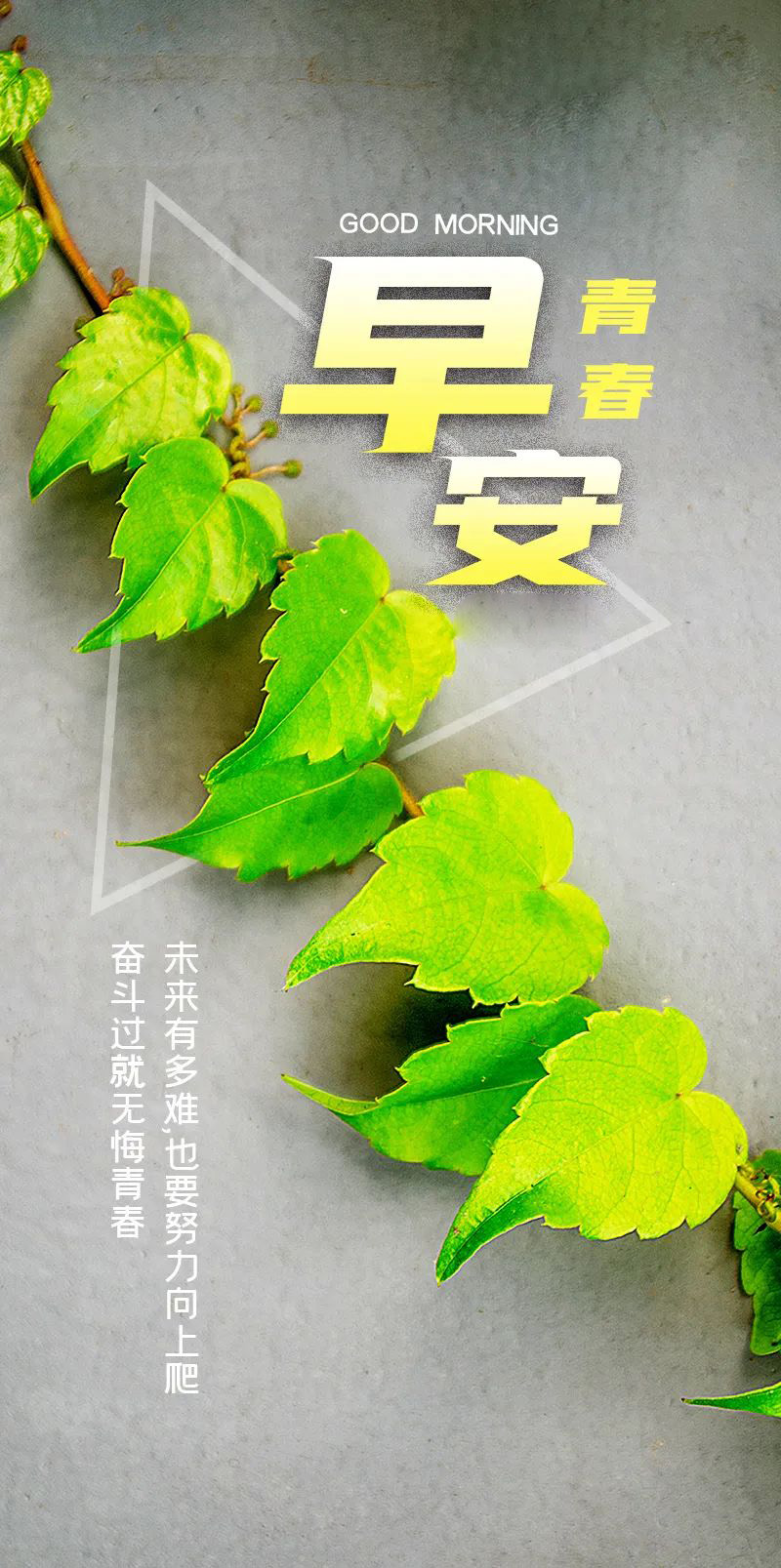 周日早安日签图片带字正能量：世界辽阔，未来明朗