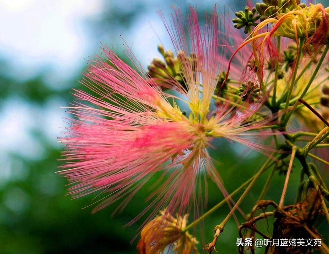 我多想见你一面，写给惦记的你