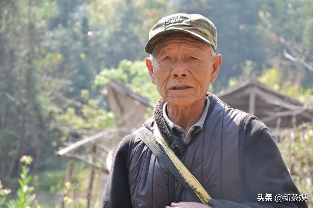南糯山制茶厂，一部现代茶人的穿越史