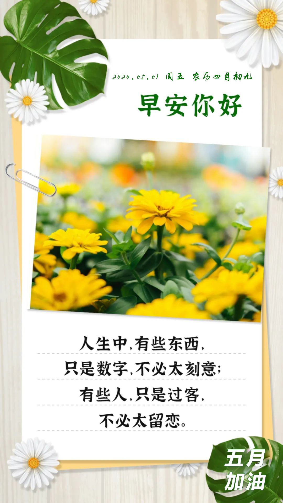 五月你好海报图片配图大全加文字，5月你好发朋友圈的简短说说文案