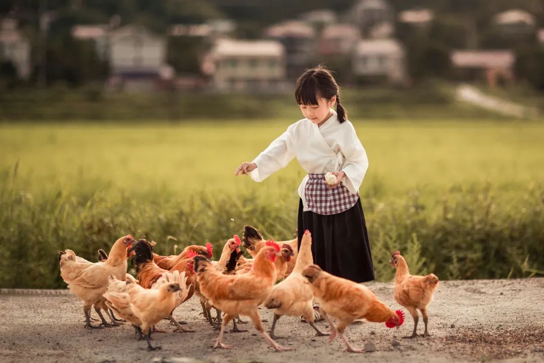 今天的饭，吃着吃着眼泪就下来了
