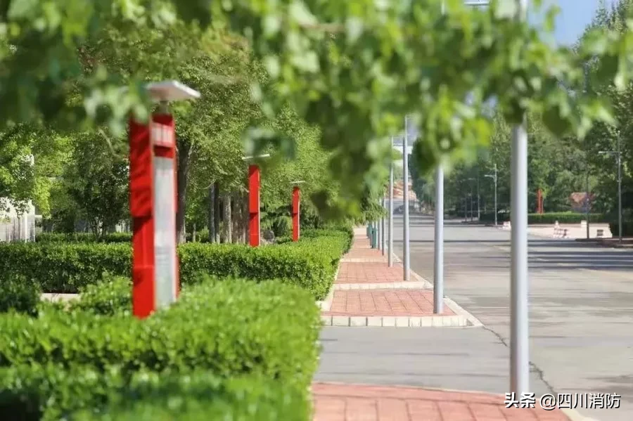 中国消防救援学院最新招生简章来了！