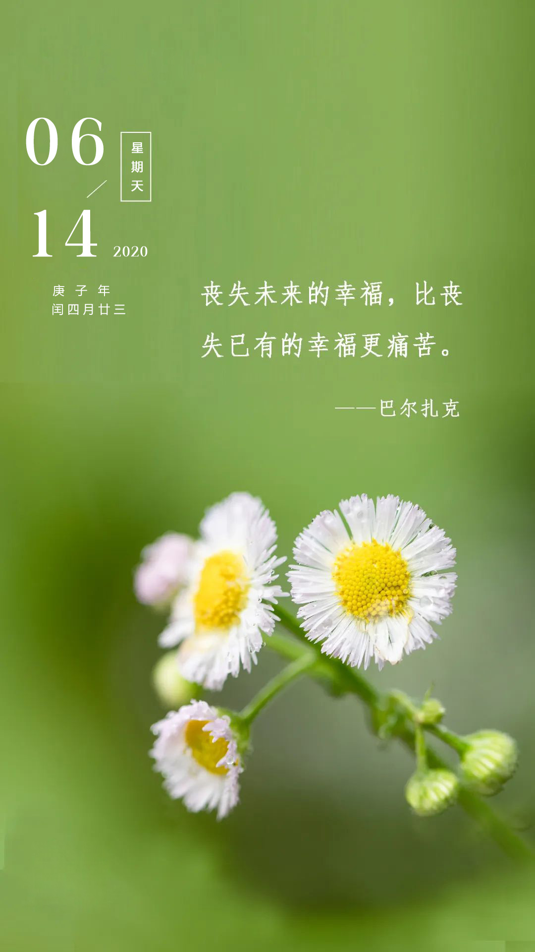 周日早安日签图片带字正能量：世界辽阔，未来明朗