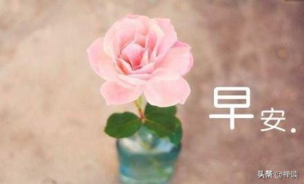 早安心语：人生，每过一段时间，都要将过去清零，让自己重新开始