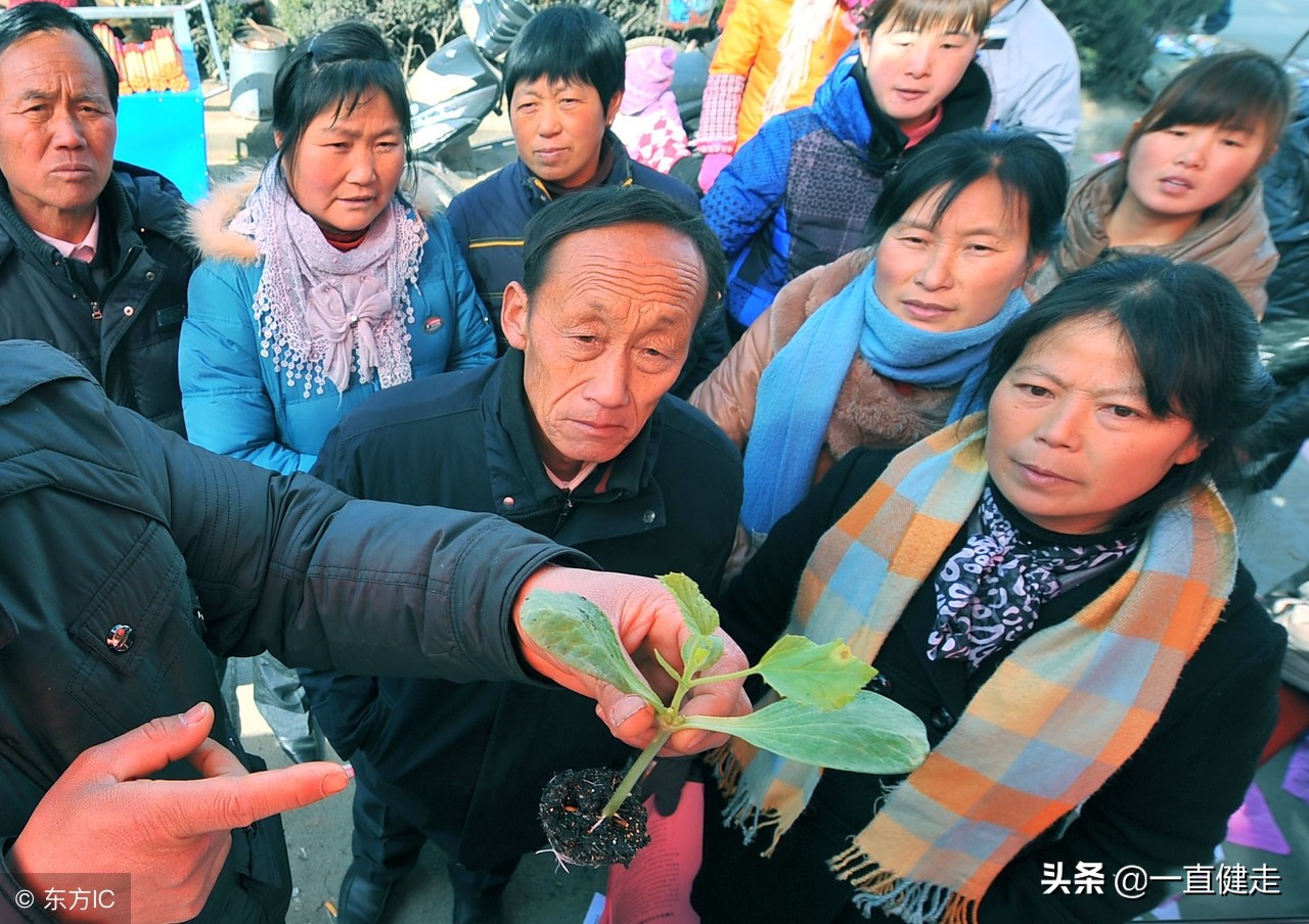 古代小说——《红楼梦》（50--65）