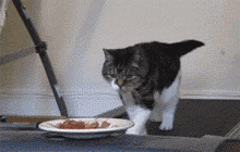 「股权篇」大股东大权独揽，小股东如何保障自身权益？（上）