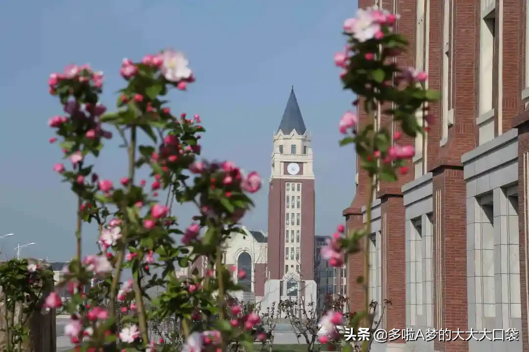 唐山工业职业技术学院2020年单招招生简章