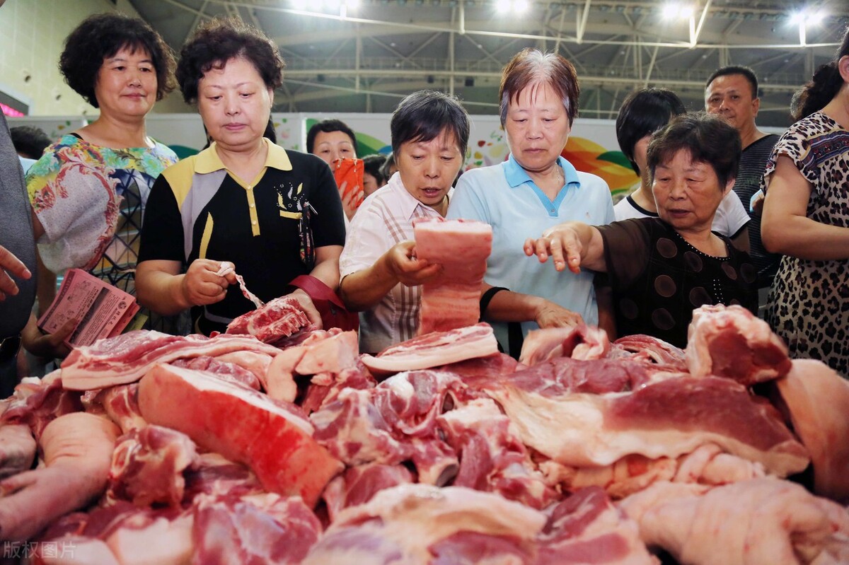 今日广东各种猪的价格（广东今日猪价最新消息）