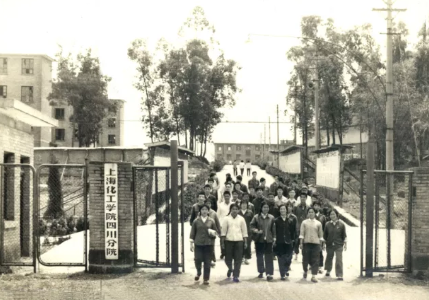 开创“第一”，在“抗新冠病毒”有重大发现！华东理工大学以