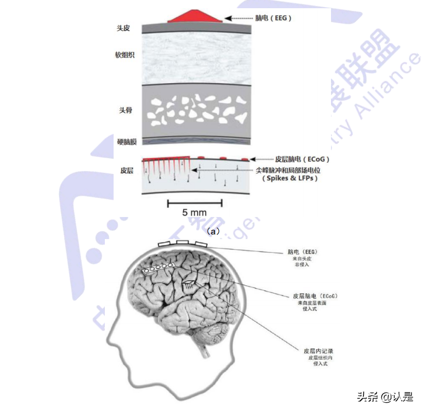 脑机接口技术在医疗健康领域应用白皮书（2021年）