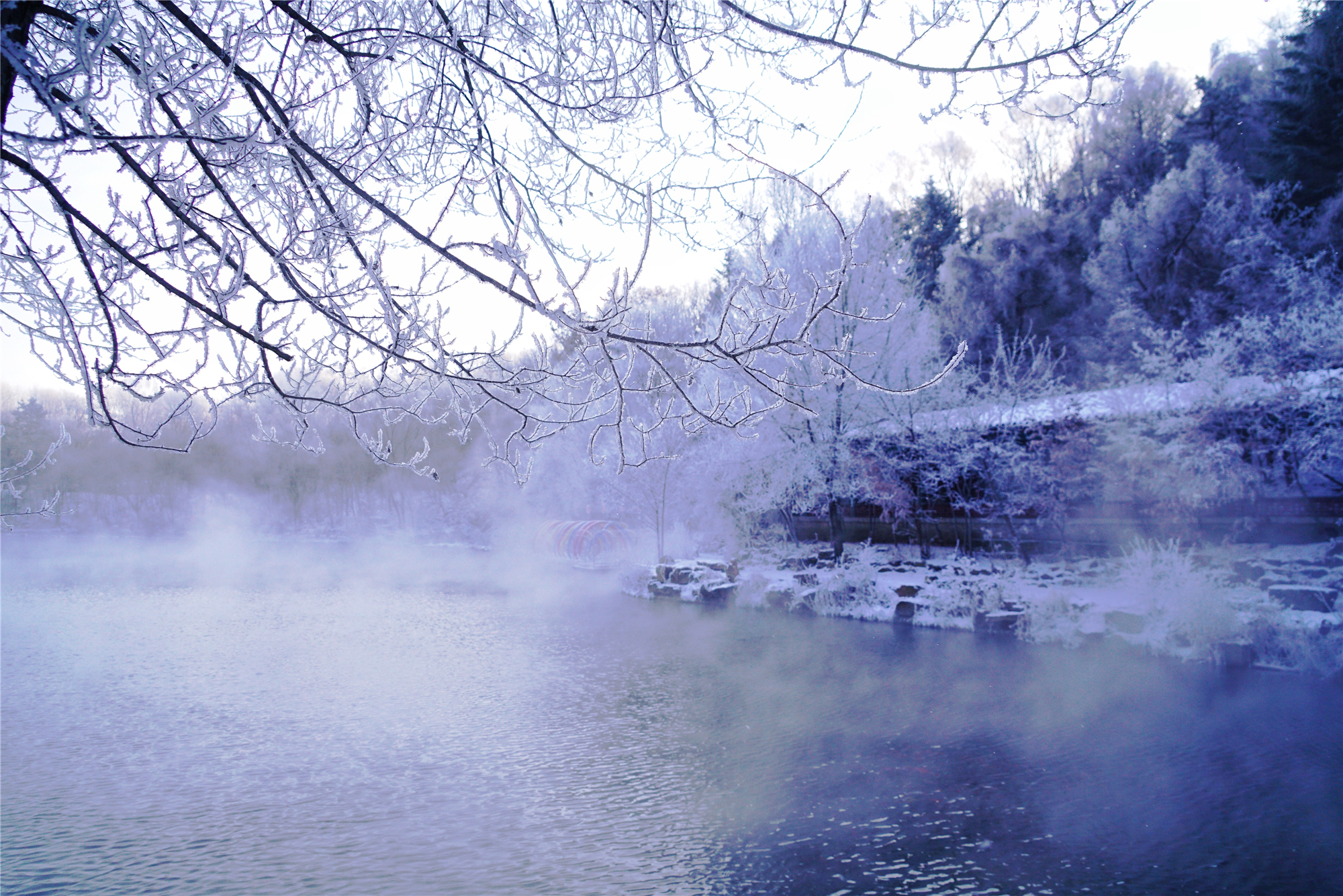 想去东北看雪哪个地方更好(冬季到哪里去看雪？追寻中国最美的雪国仙境)