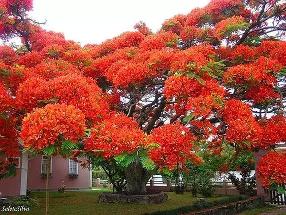 世界极致美景，一睹为快！