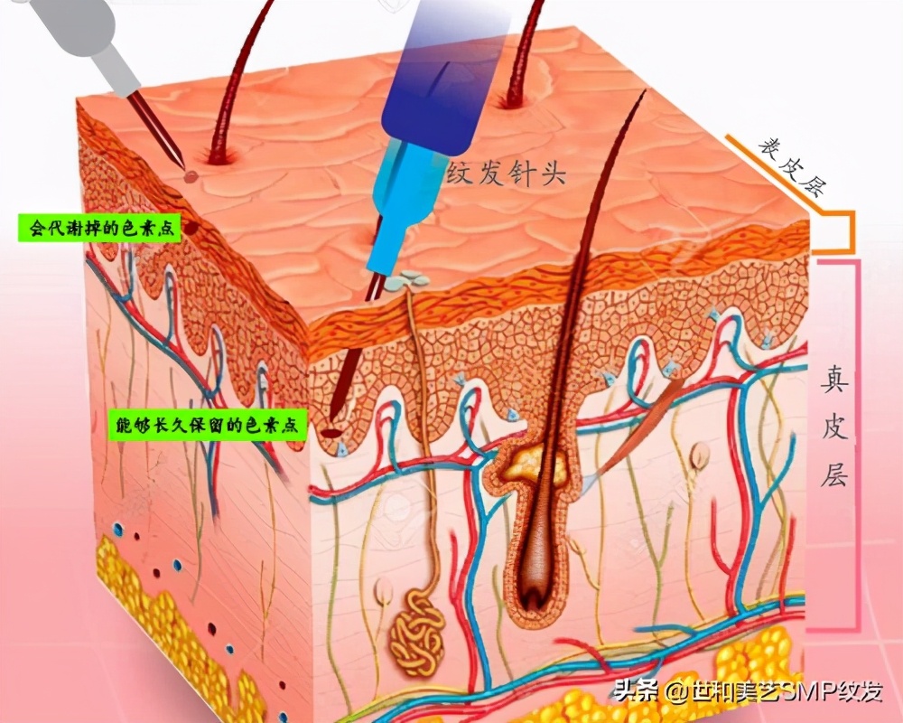 图文科普！纹发和纹眉纹身有什么区别？做纹身的店可以做纹发吗？