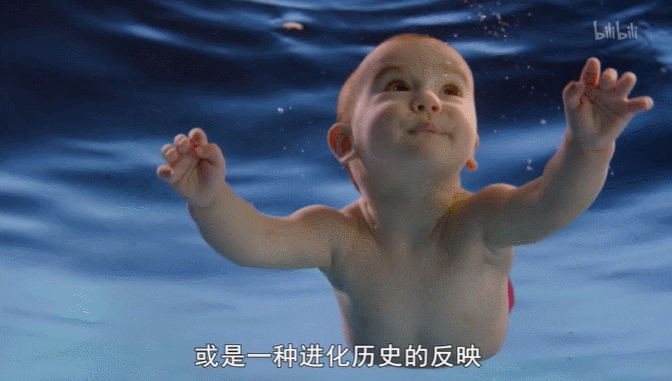 这也解释了,为什么婴儿是天生的游泳好手.
