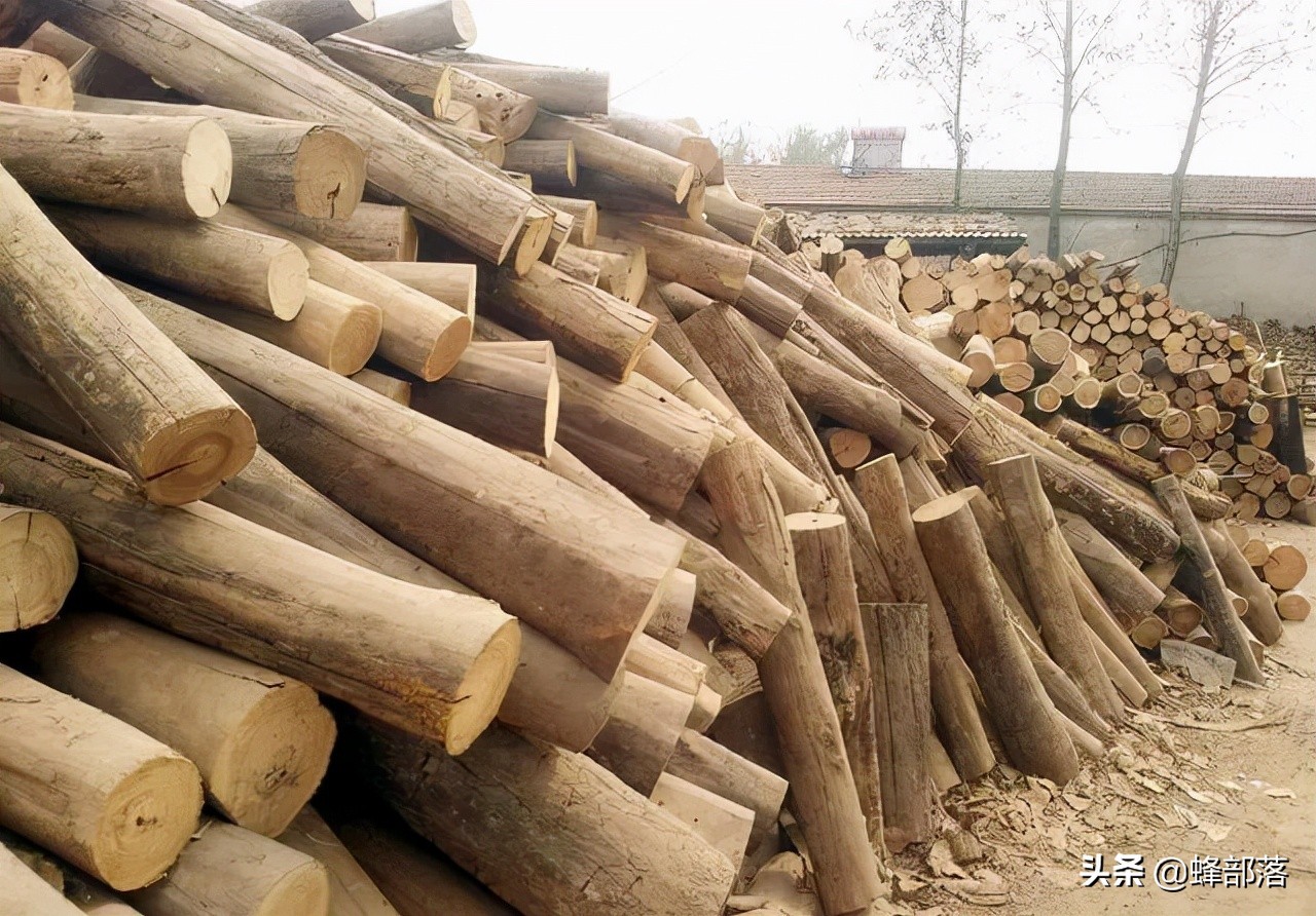 有人花钱在农村专门收购旧木头，旧木头有啥用途？5个用途要了解