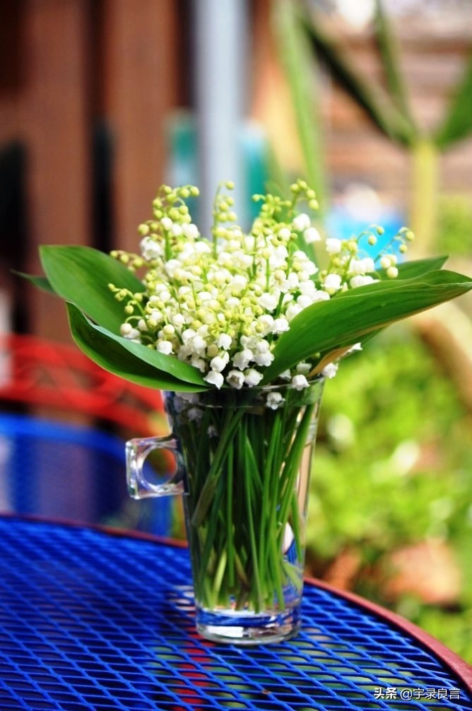 很走心的生活感悟句子,精致走心,发朋友圈很不错