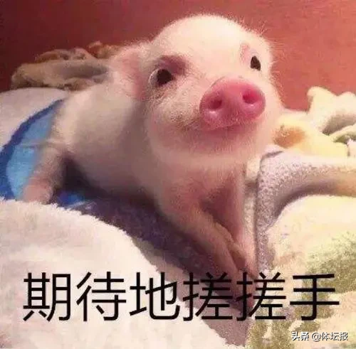 cba浙江主場在哪里（CBA新賽季落戶浙江，憑什么選擇了諸暨？）