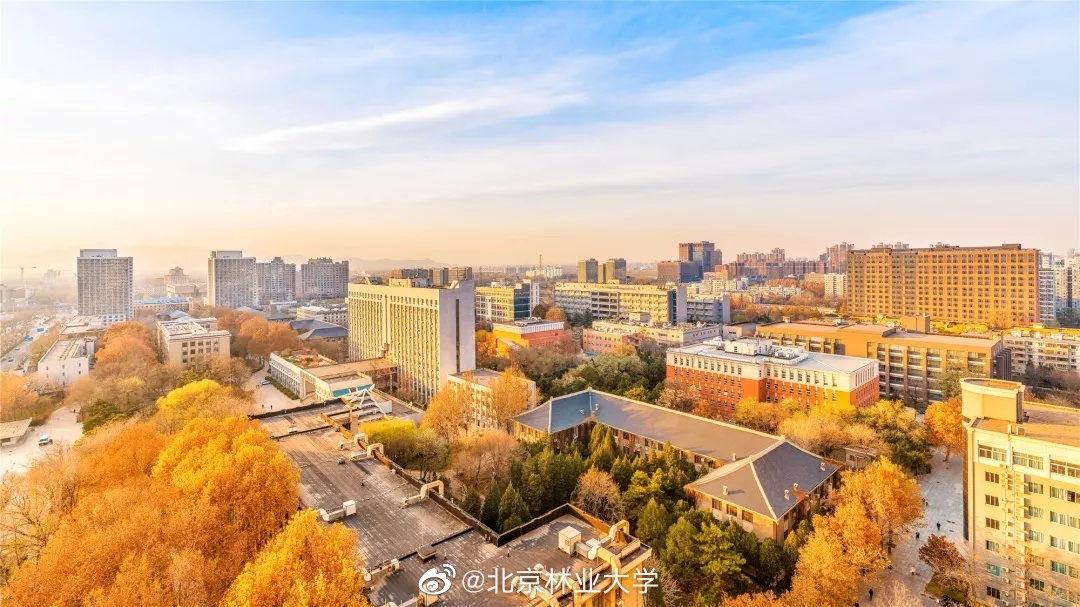 北京“绿色学府”：占地13176亩，坐拥8大餐厅，新华社、中央电视台聚焦关注！