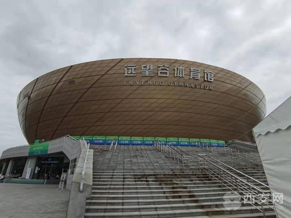 羽毛球比赛什么时候开始（十四运会快讯｜羽毛球项目9月5日开赛 197场比赛看到爽）