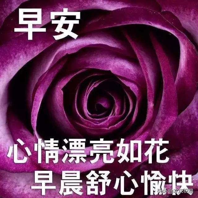 雾天最美早安问候祝福语图片带字温馨,雾天的早安说说句子