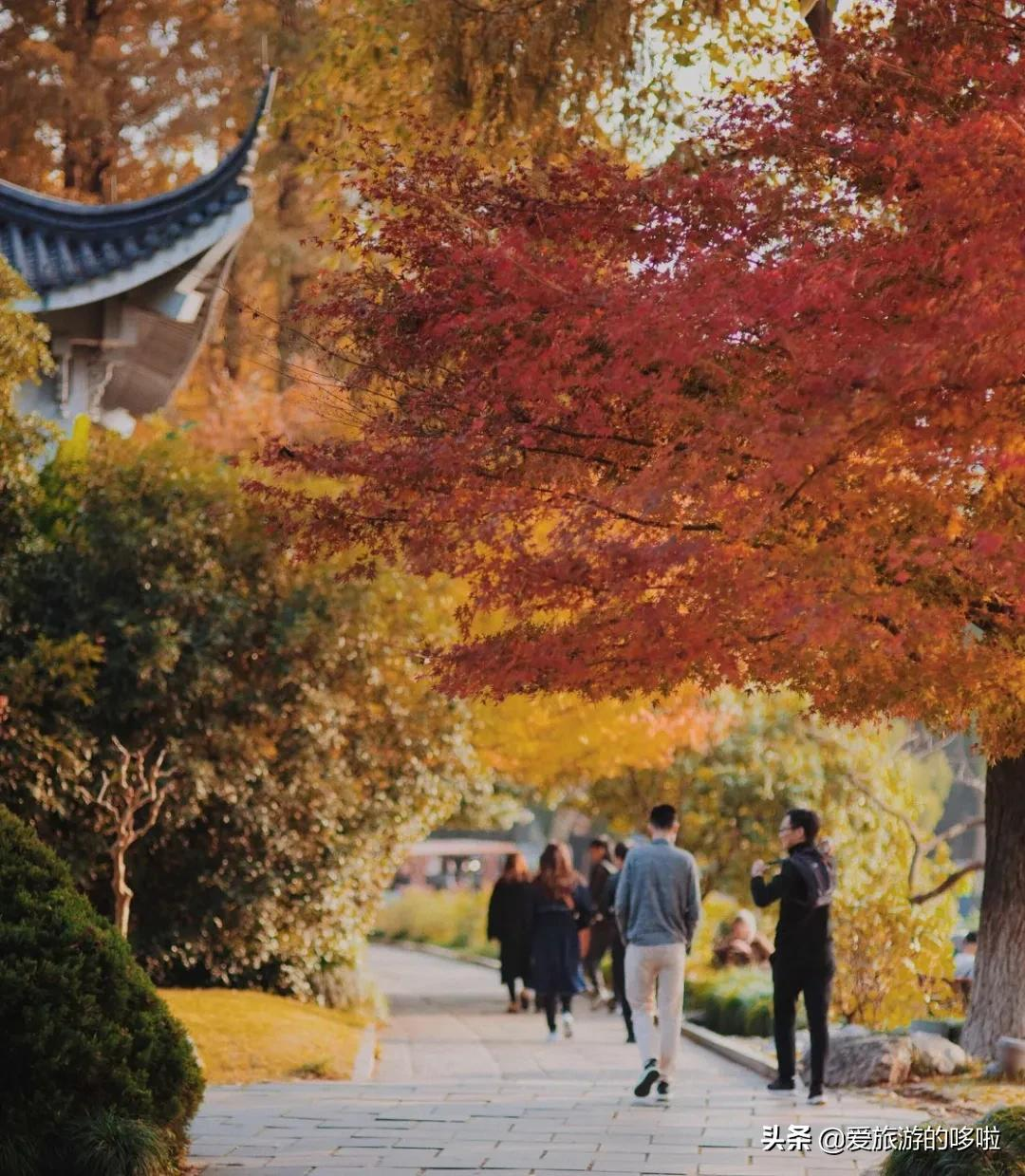 京杭大运河的秋，串联8城之美，惊艳千年时光