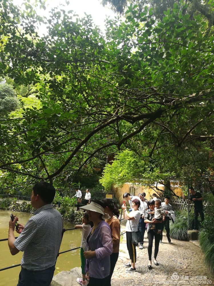 「原创」国清寺——天台山旅游胜地